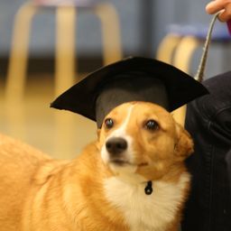 photograph by PeterW